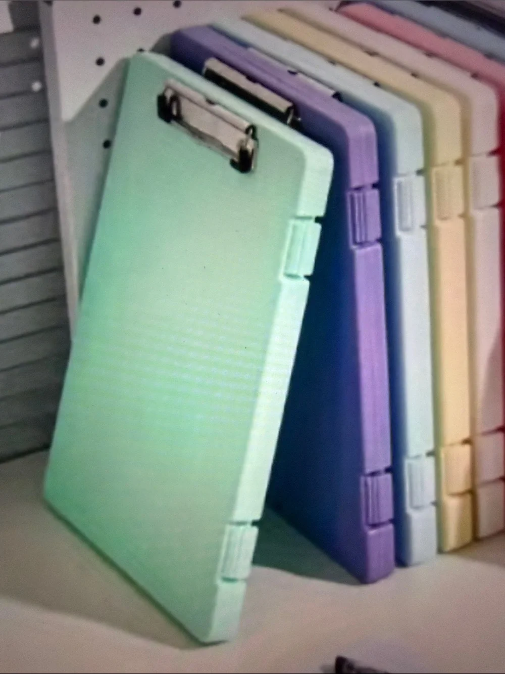 Pastel green Document Organizer Folder - Home Storage & Organization. 🆕